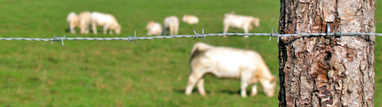 Agriculture