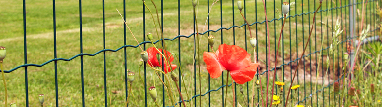 The portal dedicated to WireSolutions fencing products